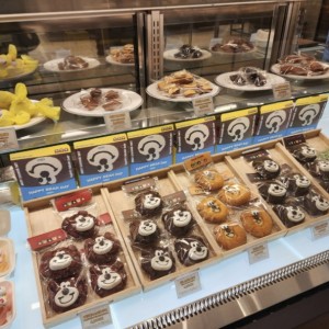 해피베어데이 롯데백화점 구리점