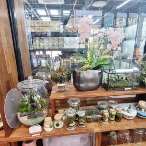 [경북 안동] 린다플랜트