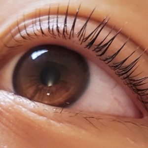 [경기 파주] 샤인왁싱&태닝