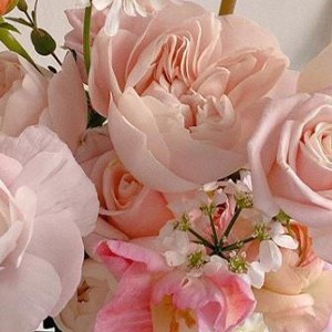 [경기 남양주] 너는,꽃