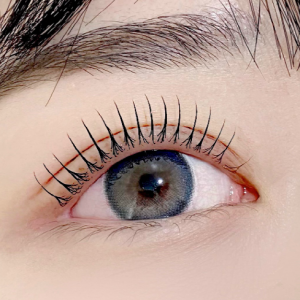 [서울 송파] 래쉬하루 스칼피아