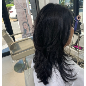 [대전 서구] 1992헤어