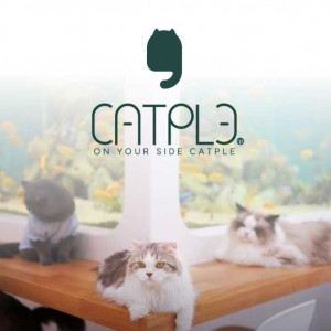 [인천 서구] 캣플 루원시티 인천점