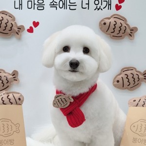 [경기 부천] 커몽