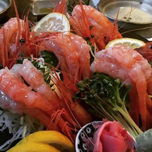 [서울 노원] 코노미