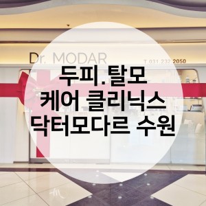 [경기 수원] 닥터모다르 수원점