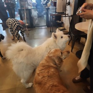 [경기 의정부] 이리 오시개 의정부점