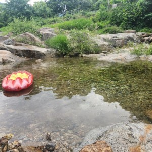 [경북 영주] 소백산 준 스테이