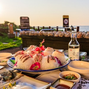 [제주 제주] 신대박횟집 제주외도점