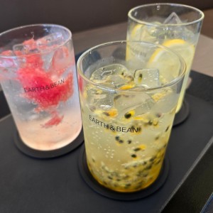 [경기 화성] 어스앤빈