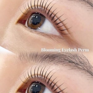 [강원 원주] 블루밍아이래쉬