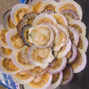 [강원 강릉] 강릉경포정육회마트