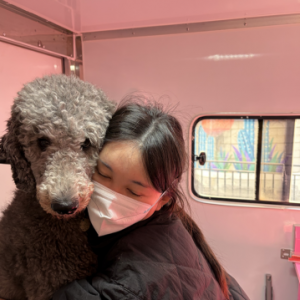 [대전 중구] 개까까유