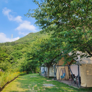 [경북 포항] 엘포리글램핑