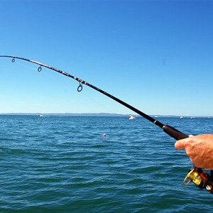 [제주 제주] 다온호