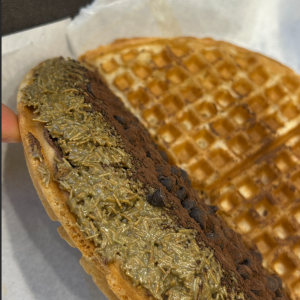 [서울 노원] 와플대학 노원역캠퍼스