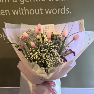 [전북 전주] 아카시아