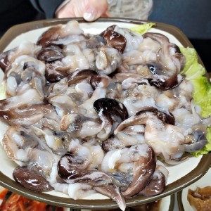 [충남 홍성] 갯마을횟집 2호점