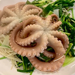 [경기 화성] 밸미길바다회집