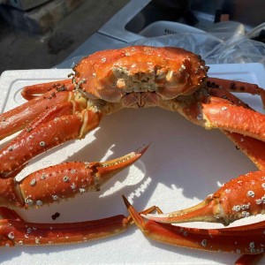 [강원 삼척] 본가 삼척대게