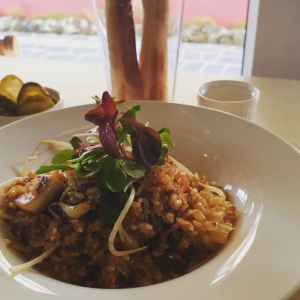 [제주 제주] 양식당