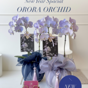 [서울 마포] 바베리플라워