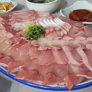 [서울 강서] 바다로간 호랑이