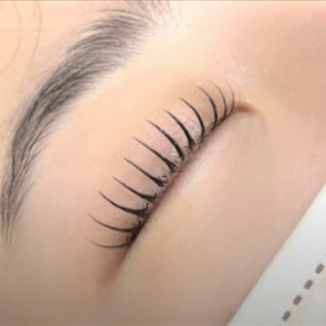 [경기 광명] 도화뷰티