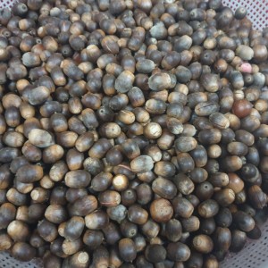 [전북 전주] 도토리마당재방앗간