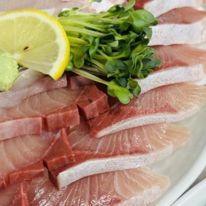 [인천 남동] 진경이네수산