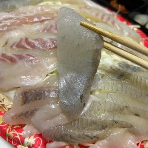 [전남 순천] 활어천국