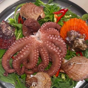 [서울 송파] 범포구 방이본점