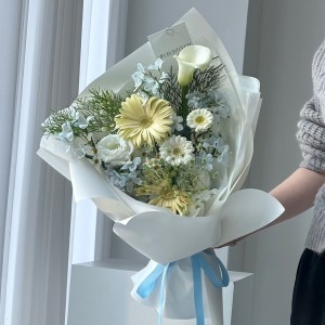 [대전 서구] 웬즈데이플레르