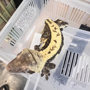 [경기 화성] 보리 아쿠아