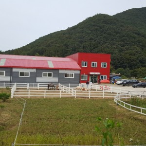 [경기 파주] 그랜드승마장