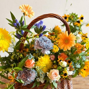 [서울 서초] 플라잉페탈