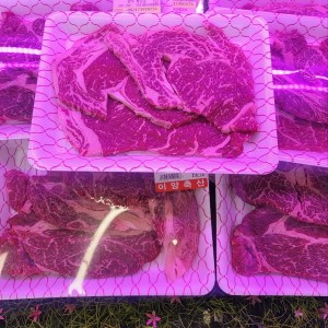 [광주 서구] 아람축산