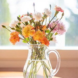 [강원 춘천] 춘천꽃집 춘천꽃도소매 조은생화