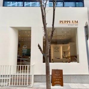 [광주 서구] 퍼피움