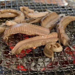 [서울 강남] 짱이네 산곰장어