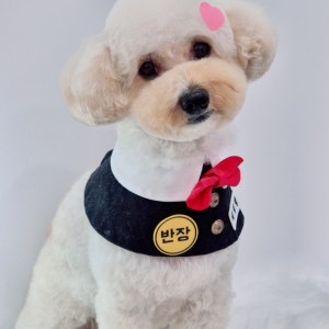 [인천 서구] 개설렘