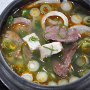 [제주 제주] 한일식당