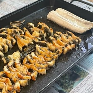 [서울 동대문] 백강민물장어