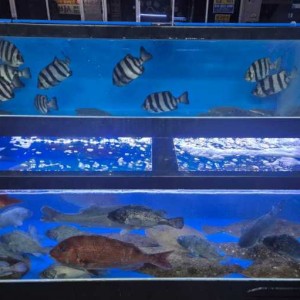 [경기 부천] 형제어시장