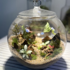 [부산 중구] 쏘슬로우 플랜트랩 sso_slow plat lab