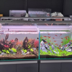 [제주 제주] 리봄아쿠아