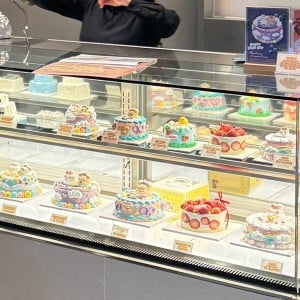 [경기 화성] 해피베어데이 롯데백화점 동탄점