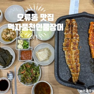 [서울 구로] 먹자풍천민물장어