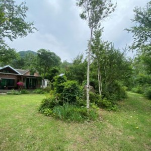 [강원 인제] 나무펜션