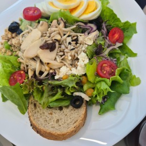 [경남 진주] 살라트앤올되다